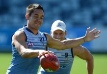 Cats load up against Kangaroos