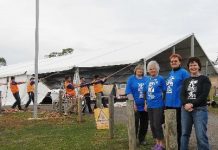 Festival seeks state cash for highland fling