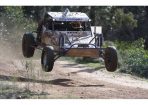 buggies_98287_01.jpg