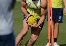 Coach swinging ‘flexible’ Cats