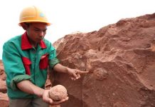 ‘I’m not a smuggler’: Offshore gem hunter fined over dinosaur eggs