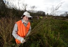 Work uncovers hidden Fyansford riverside