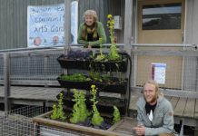 Sun shining on fish-food cycle