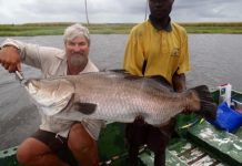 Diehards do well in extreme conditions