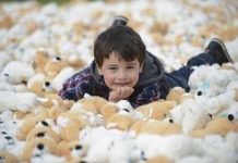 Foster children in search of ‘home’