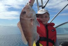 ON THE BITE: Snapper start annual run