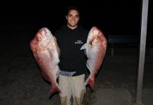 SPORT: Gordon Knowles best with monster snapper as big reds go on the bite