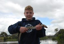 SPORT: Calm settles on hot fishing for snapper on baits and plastics in bays