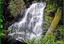 Dirty toilets, litter for tourists