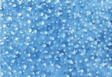 Fund-raiser’s wipe out: Charity dumps surf hero