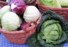 Jobs in food to ‘boom’