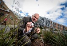 Chip in for McKellar Centre, golfers urged