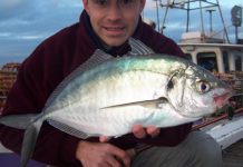 SPORT: Hot tips for fishing action around the Geelong region over summer