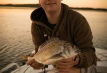 Whiting biting as long weekend brings out a flotilla