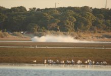 Jet-ski police crackdown