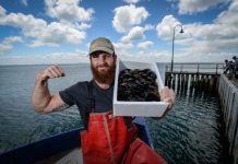 Port tones for festival