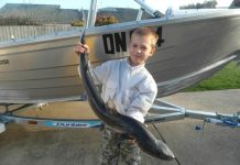 SPORT: Summer’s sensational for saltwater action