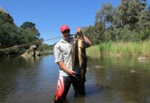 SPORT: Quality specimens offer fantastic summer fishing
