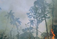 Smoke haze hangs around Geelong