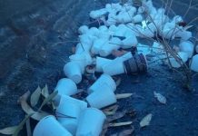 Anger as event trashes foreshore