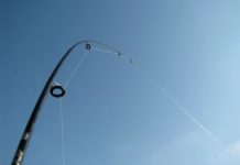 Fish ‘inaction’ kills business