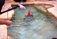 Lyons bares abs for social media vote vid