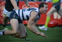 Cats add three to squad for Lions match