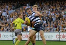 Cats ‘respect’ Power