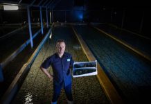 MP’s abalone option for Ford staff