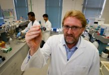 Uni team abuzz over 2D material