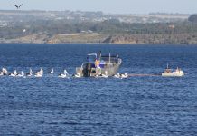 State angle for netting critics