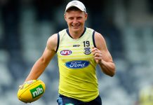 Contact takes new hit, says Cats coach