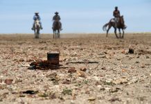 FEATURE: Darren Clark, the pictorial wizard of Oz