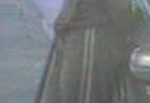 Police seek man over stolen car