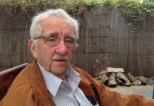 Volunteers get prison time