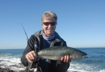 Of fish and farewells