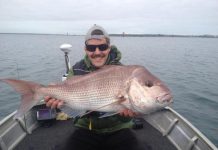 Fishing: Big trout about here and there