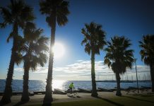 Crisp winter break ….