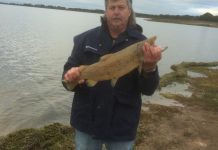 Reservoir yields trout and redfin