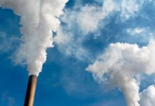 Power bills tumble post carbon tax: MP