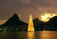 Christmas tree to attract ‘thousands’