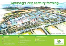 Avalon:1000 new jobs in vegetable farm venture jobs