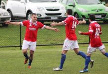 New signing Julardzija shines for Warriors in draw with Dandenong