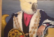 Geelong’s mayor is getting very cocky ….