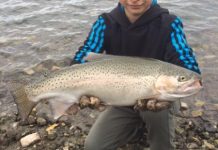 Lake producing healthy salmon