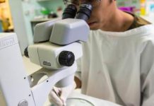 Research key to prosperity