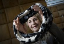 Exotic, extinct and endangered species in stitches