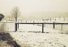 Brrr, it’s cold out there …