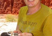 Geelong’s migrating birds at risk, warns Deakin prof