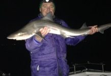 Spring in step of Geelong anglers
